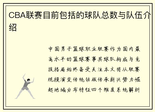 CBA联赛目前包括的球队总数与队伍介绍