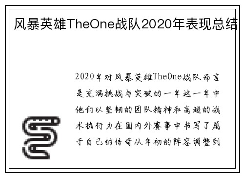 风暴英雄TheOne战队2020年表现总结